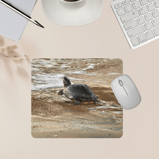 Mouse Pad - Tiny Turtle at the Beach